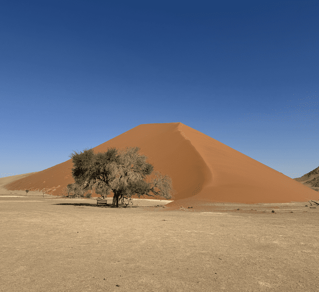 Screenshot_2024-07-24_at_14.19.09_optimized